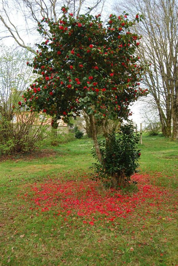 Vallee Des Ardoisieres Mael-Carhaix ภายนอก รูปภาพ